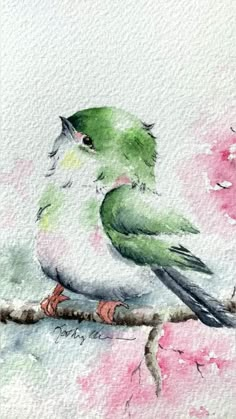 a watercolor painting of a bird sitting on a branch with pink flowers in the background