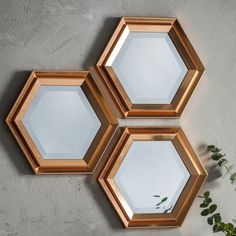 three mirrors on the wall next to a potted plant