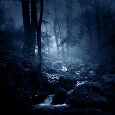 a dark forest filled with lots of rocks next to a stream in the middle of it