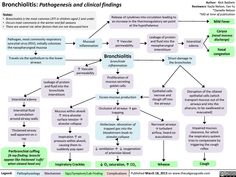 a flow diagram showing the various stages of bone health and its functions in different ways