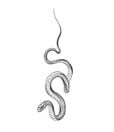 a black and white drawing of a snake with its tail curled in the shape of a s