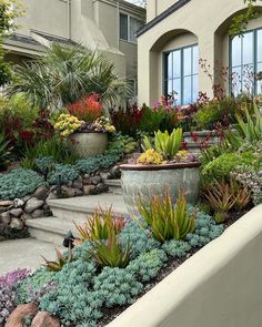 an outdoor garden with various plants and rocks in front of a house on a sunny day