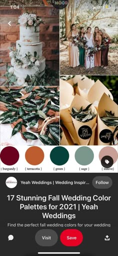 the wedding color palette is shown with different colors and sizes for each bride's dress