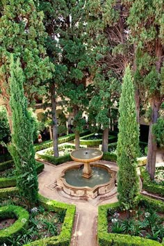 a garden with a fountain surrounded by trees