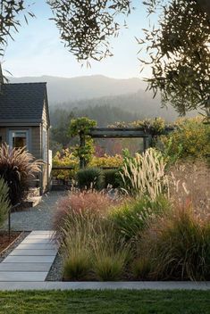 an outdoor garden with lots of plants and flowers on the ground, in front of a house