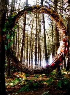 a circle made out of branches in the middle of a forest with trees around it