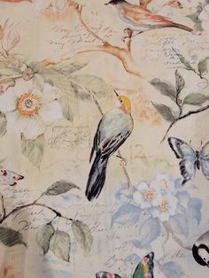 birds and flowers on a white background with butterflies