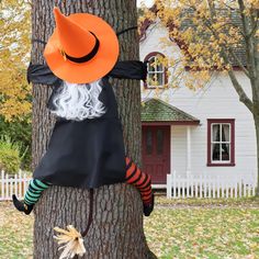 a scarecrow is hanging on the side of a tree