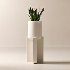 a plant in a white vase on top of two smaller cubes that are stacked together