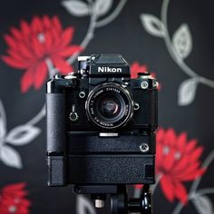 a camera sitting on top of a tripod in front of a floral wallpaper