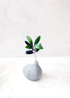 a white vase with a green plant in it