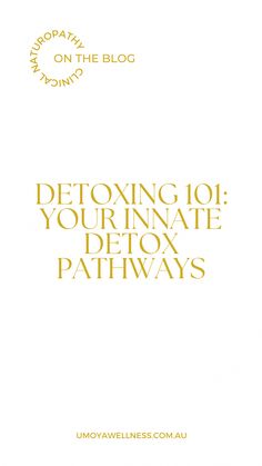 Detox Pathways, Internal Cleanse, Lymph System, Food For Digestion, Active Living, Cardiovascular System, Wellness Blog