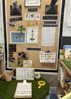 a bulletin board with pictures and plants on it in a classroom setting for children to learn