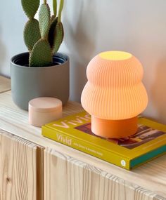 a table topped with a book and a lamp next to a cactus