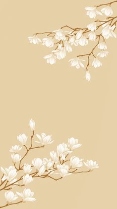 a branch with white flowers on it against a light brown background that is in the shape of a wallpaper