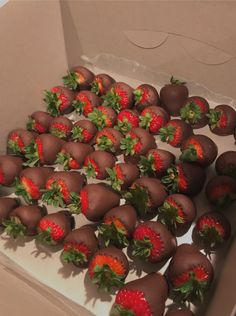 chocolate covered strawberries are in a box