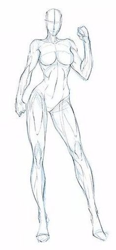 a drawing of a man's body and muscles