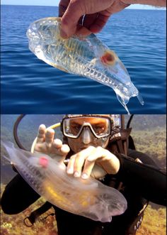 a man holding a plastic bottle in his hand and another person with goggles on their head