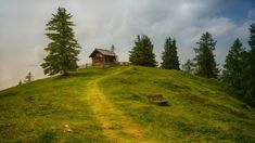 a small cabin on top of a green hill with trees in the foreground and a path leading up to it