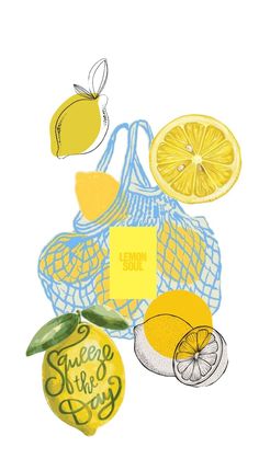 lemons, limes and oranges are arranged on a white background with blue mesh bags