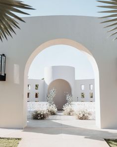 an archway leading into a white building with palm trees in the foreground and bushes on either side