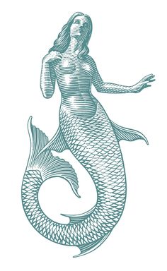 a drawing of a mermaid holding a fish