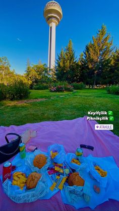 a picnic blanket with food on it and a water tower in the background