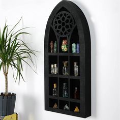 a wall mounted shelf with bottles on it next to a potted plant