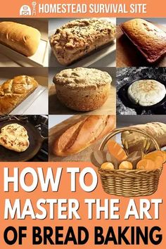 the cover of how to master the art of bread baking, with pictures of breads and other baked goods