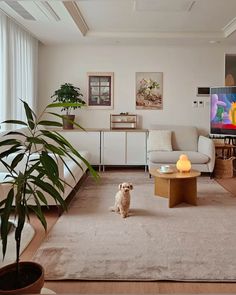 a dog is sitting in the middle of a living room with white furniture and large windows