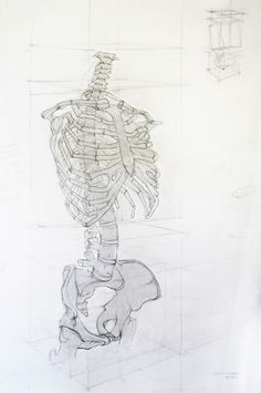 a drawing of a skeleton sitting on top of a chair