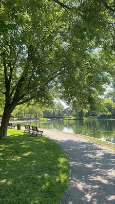 park benches on the side of a path next to a lake with green grass and trees