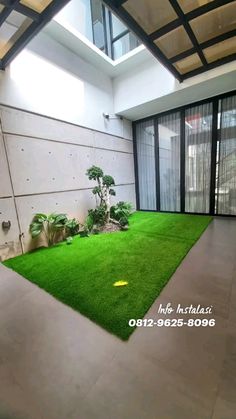 an indoor area with artificial grass and plants