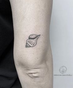 a small black and white shell tattoo on the right arm