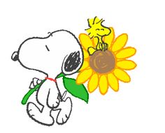 a cartoon snoopy with a sunflower in his hand