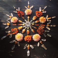 mineraliety:  Calcite, Quartz, and Brazilianite crystal grid with dahlias and firethorn berries created by @woodlights_woudlicht ////// #whyiloveminerals www.instagram.com/woodlights_woudlicht  www.mineraliety.com Celebrate Mabon, Crystals Healing Grids, Crystal Mandala, Flower Mandalas, Nature Mandala, Healing Magic, Crystal Grids, Crystal Therapy, Crystal Magic