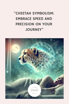 cheetah symbolism embrace speed and precision on your journey