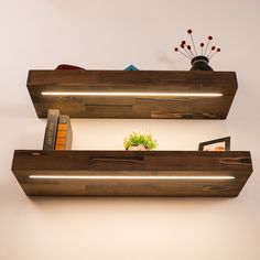 two wooden shelves with books and plants on them