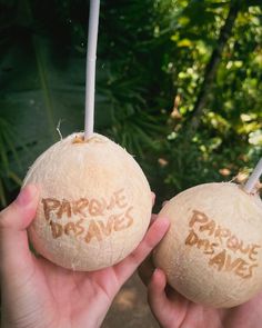 two coconuts with words written on them are held in front of some trees and bushes