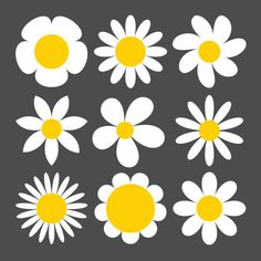 white and yellow daisies are arranged in the shape of squares on a gray background