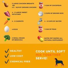 an info sheet describing the benefits of cooking for dogs and cats in their diets