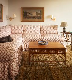 a living room filled with furniture and a cat laying on top of the couches