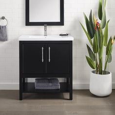 a bathroom vanity with a mirror above it next to a potted plant and towel