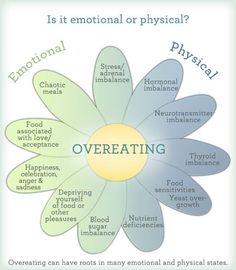 Thyroid Imbalance, Dior Addict, Intuitive Eating, Mindful Eating, Health Issues, Emotional Health, Losing Weight, Holistic Health, Get Healthy