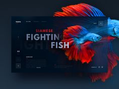 An Exquisite Audio Experience by Cal Notman on Dribbble Hero Banner, Fish Banner, Indesign Layout, Homepage Design, Portfolio Web Design, Creative Portfolio, Fish Design, Web Design Inspiration