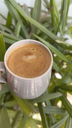 a person is holding a cup of coffee in front of some green plants and leaves