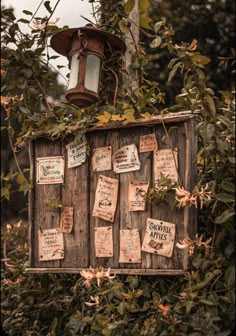 an old wooden box with lots of notes attached to it sitting in the middle of some trees