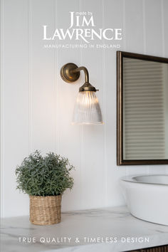 a bathroom sink with a potted plant next to it and a mirror above it