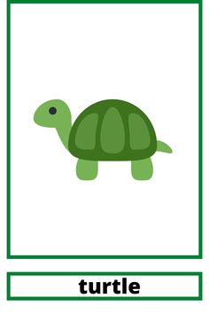 a green turtle with the word turtle below it