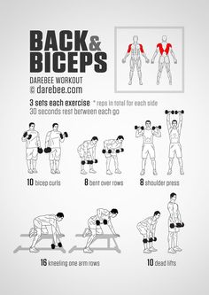 the back and biceps exercise poster shows how to do dumbbles with one hand